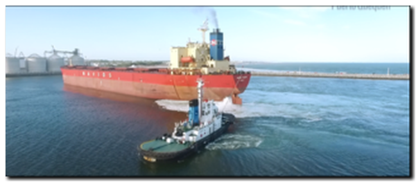 Furia empresarial contra Sturzenegger