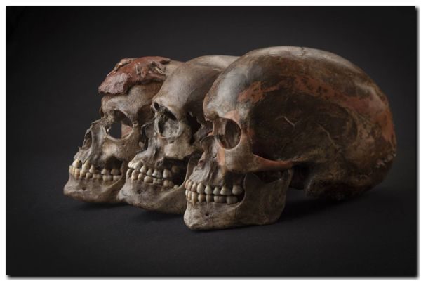 CIENCIA: Cuando todos los europeos eran negros