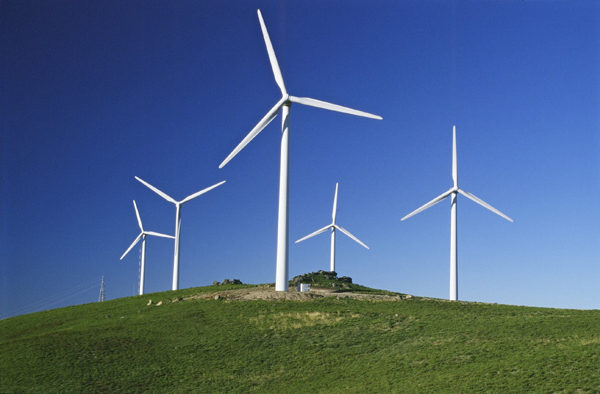 POLÍTICA: El gobierno apunta a la energía renovable