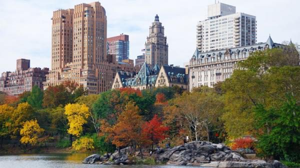 La estrategia millonaria para salvar Central Park