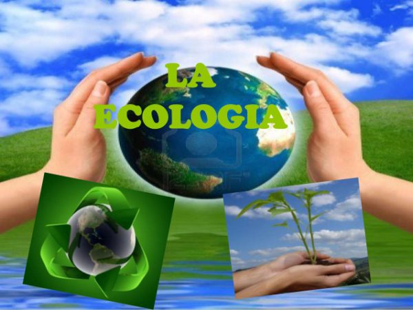 ECOLOGÍA: Los 5 desafíos clave que amenazan el Planeta