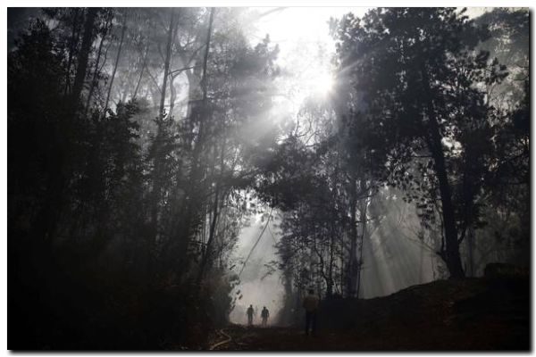 Claves para reducir efecto invernadero