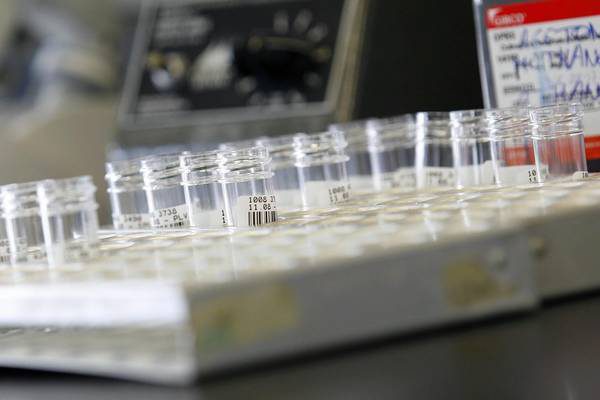 Estudiantes le dan una lección a un laboratorio