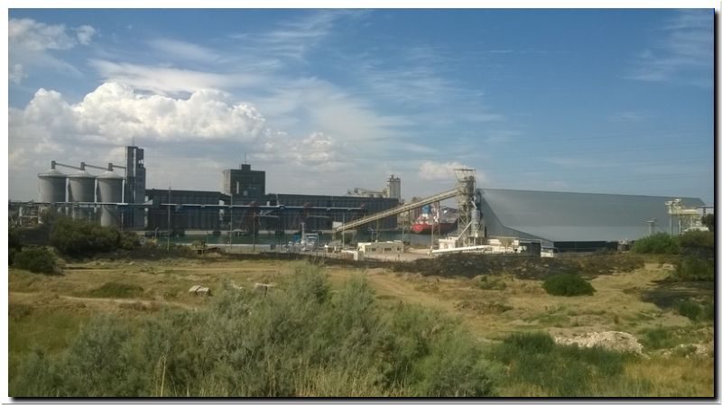 NECOCHEA: Incendio en pastizales cerca de Puerto Quequén