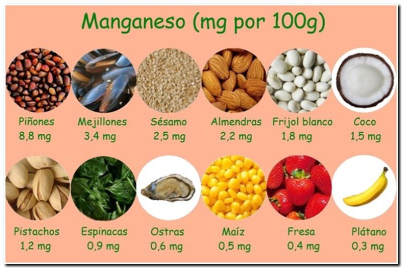 SALUD: Manganeso vital para la salud