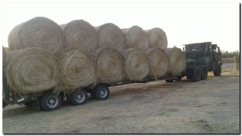 AGRO: Entidades trabajan cerca del productor asistiendo a los afectados por incendios