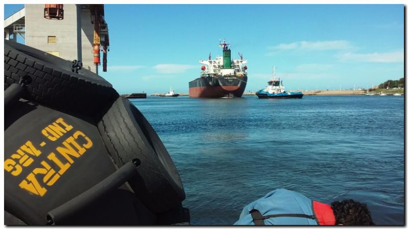 GREMIALES: Paro de aceiteros paralizará las exportaciones del sector