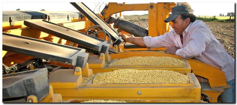AGRO: El INASE capacitará a productores y acopiadores en Necochea