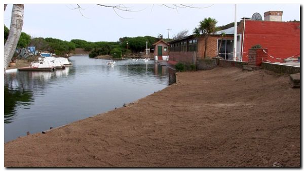 NECOCHEA: El Lago de los Cisnes apunta a volver a ser un gran atractivo