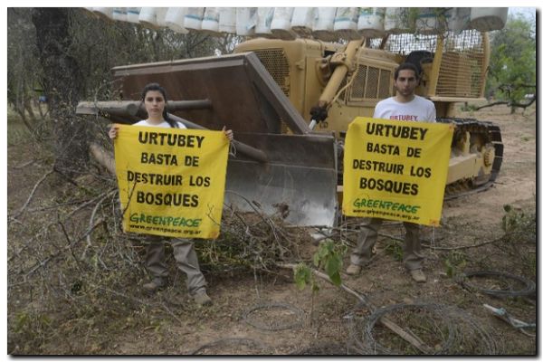 ECOLOGÍA: El fin de la impunidad