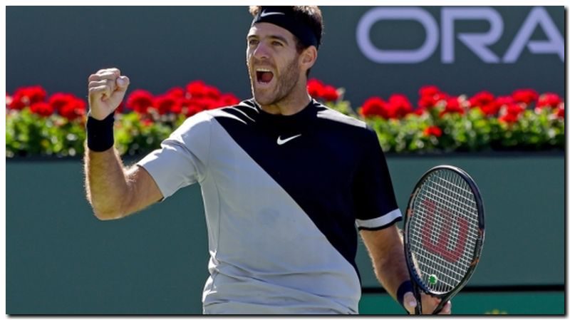 Juan Martín Del Potro se bajó de los Juegos Olímpicos de Tokio
