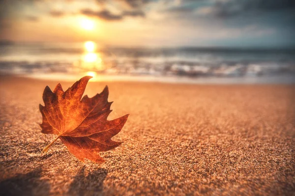 Crónicas en domingo. Es Otoño en la playa
