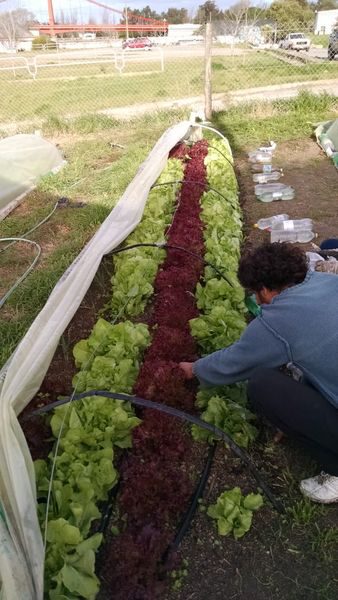 NECOCHEA: Educación con salida laboral en el ámbito rural del CFP N° 403