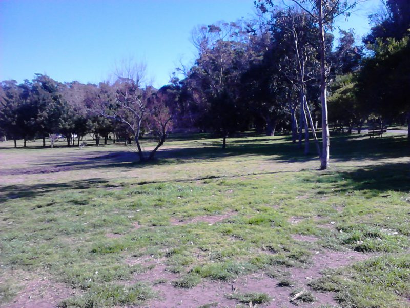 EDITORIAL: Hablemos claro. El Parque Miguel Lillo es un objetivo de negocios inmobiliarios