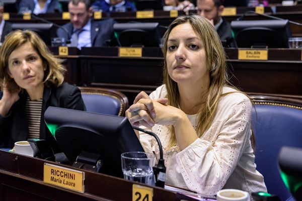 LEGISLATURA: Buscan terminar con mutilaciones en animales domésticos