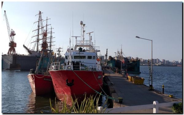 Crisis en el Puerto de Mar del Plata