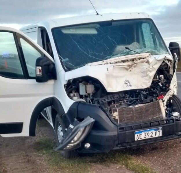 ACCIDENTE: Utilitario chocó contra un vacuno