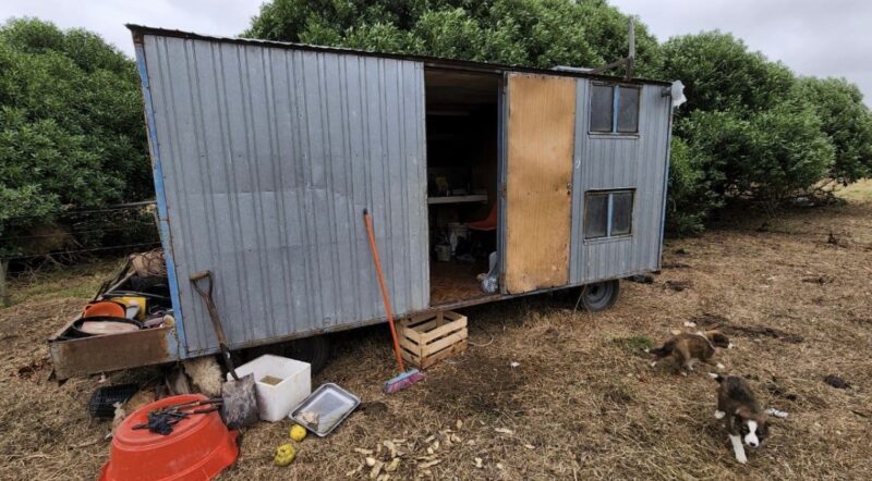 NECOCHEA: Explotación laboral en un campo