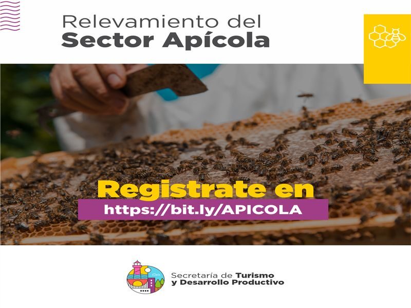 NECOCHEA: Productores apícolas