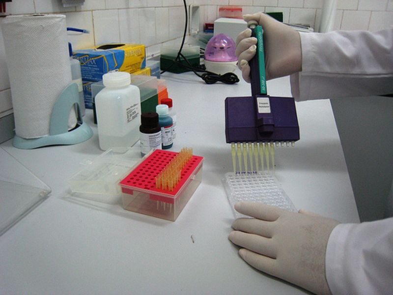 IVE: Los embriones se pueden desechar