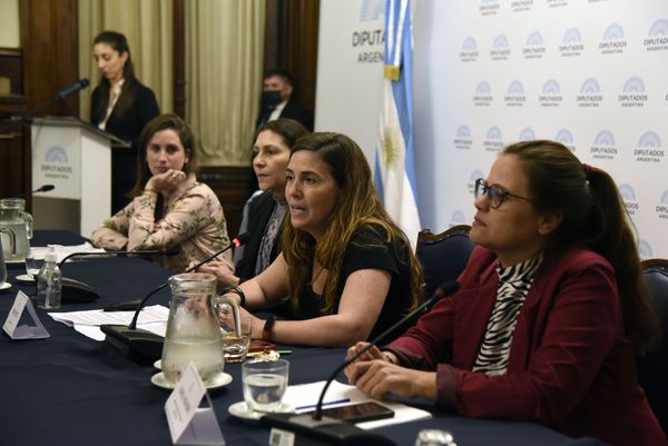 CUOTA ALIMENTARIA: En el congreso debatieron estrategias frente al incumplimiento
