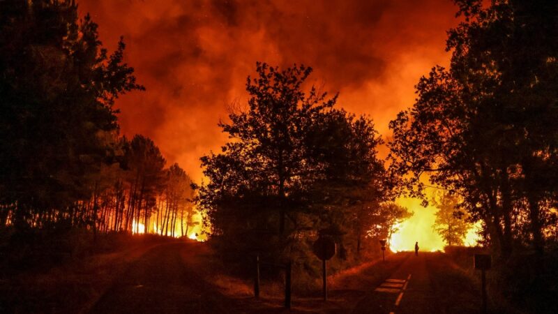 INCENDIOS FORESTALES: Aumentaron en los últimos 20 años