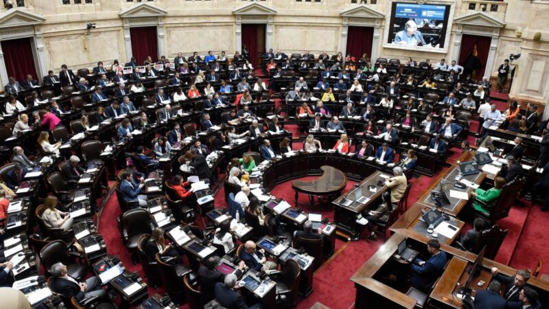 Diputados aprobó la suspensión de las PASO