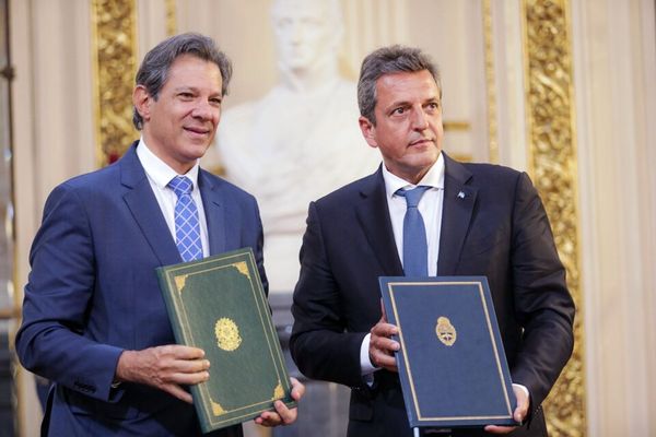 Cómo sería la moneda común