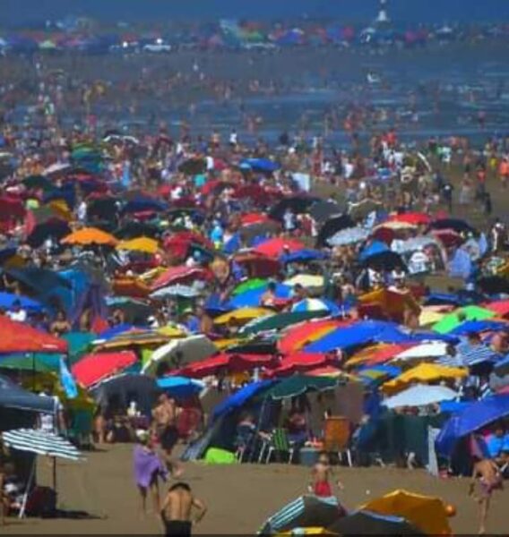 Según ChatGPT Necochea es la ciudad más barata