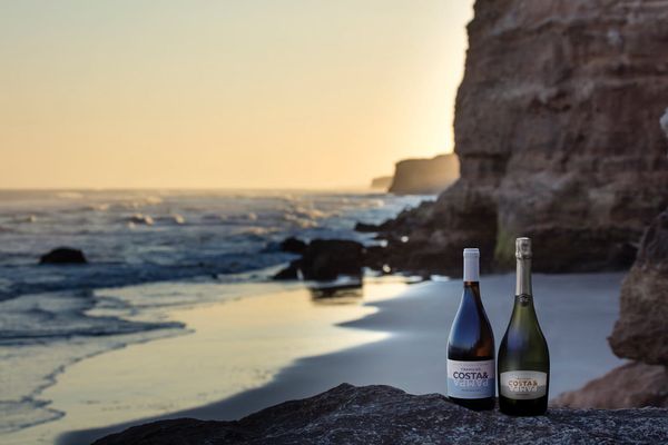 Ya rige la ley de vino bonaerense