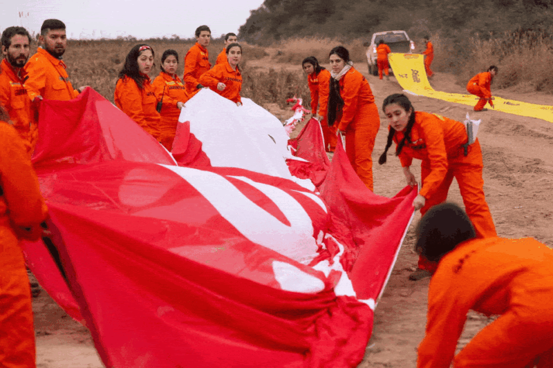 Nueva acción en Salta de Greenpeace