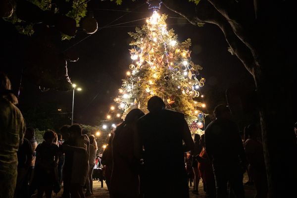 El viernes 8 de diciembre se encenderá el Árbol de Navidad
