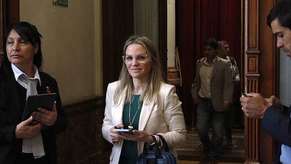 Milei bajó a Píparo de la Anses