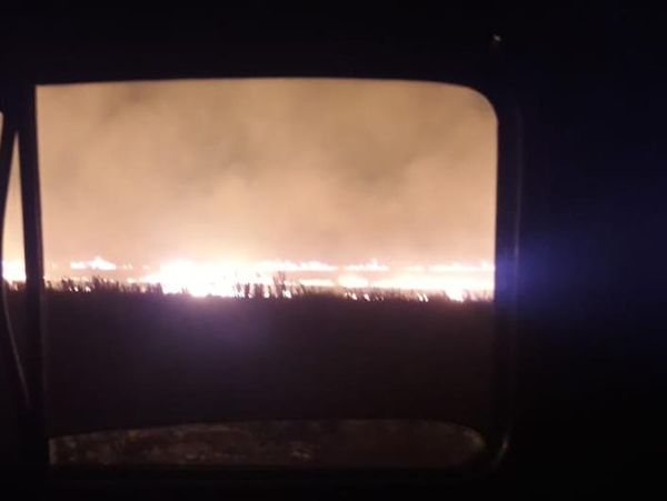 Incendio de 125 hectáreas en Lobería