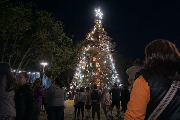Se inauguró el paseo navideño de la Plaza