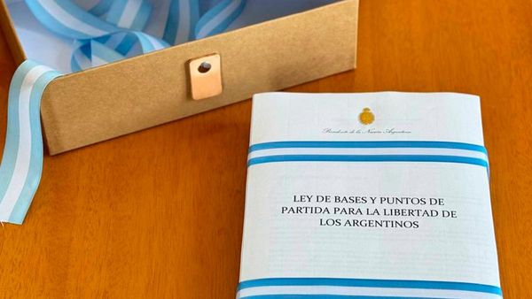 Milei tiene media sanción de facultades especiales