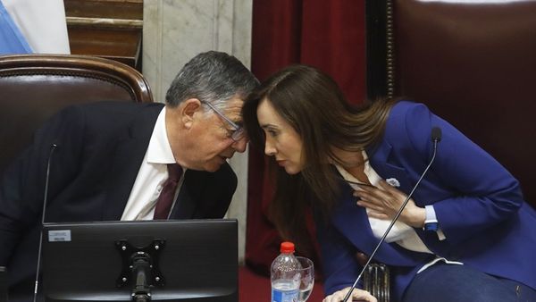 La ley ómnibus no pasa el Senado