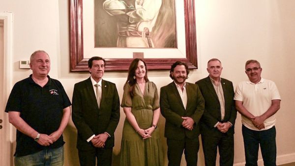 Villarruel quiere parar a Milei