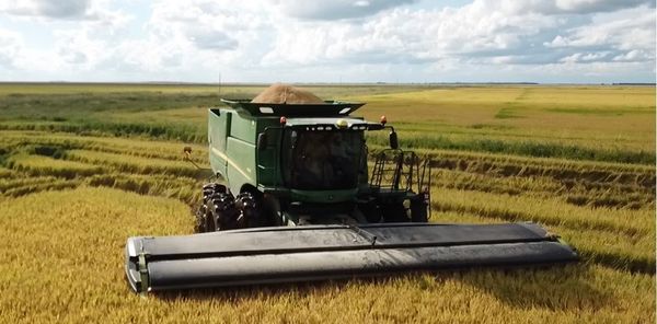 En agricultura no todo es lo mismo