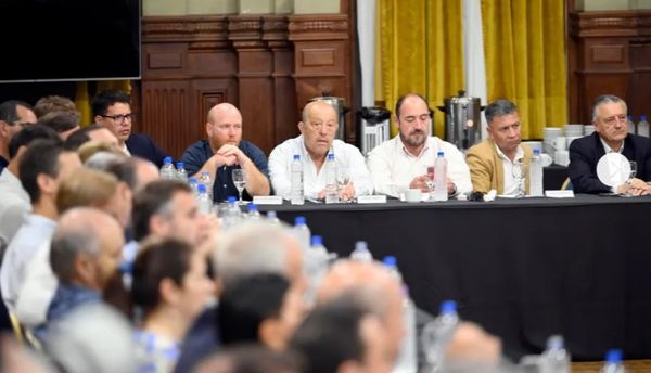 Intendentes de la Quinta se reúnen contra la motosierra
