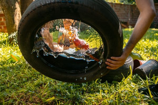 Medidas contra mosquitos y larvas