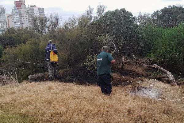 Peligroso foco de incendio en el Jardín de Rocas