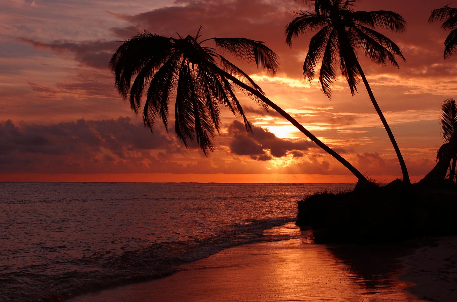 beautiful beach during sunset