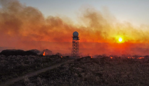 Se incendiaron 30 hectáreas de pasto en la ruta 11