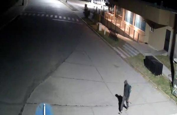 El COM ayudo a detener al autor del robo en Corona