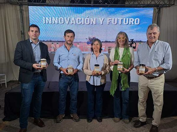 Primera Avena apta para celíacos