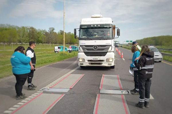 Detectaron cargas ilegales en camiones