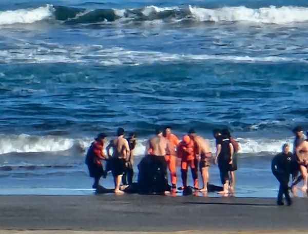 Joven falleció mientras nadaba en el mar