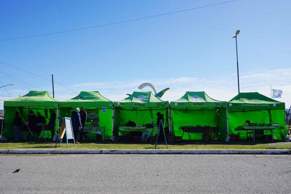 NECOCHEA: Vuelve «El Mercado»