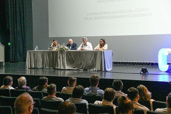 Financiamiento para productores porcinos